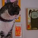 Deborah Edgar Photo 20
