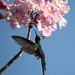 Bonita Bates Photo 8