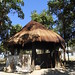 Gloria Workman Photo 15