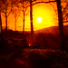 Ray Beck Photo 30