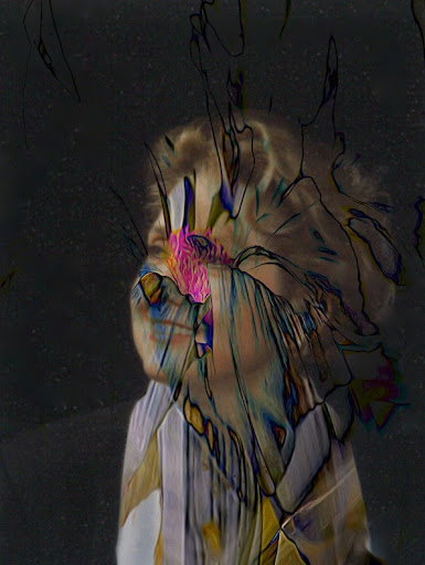 Elizabeth Varga Photo 31