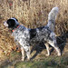 Jill Hunt Photo 34