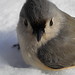 Glenda Sharp Photo 21