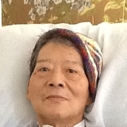Cheng Lee Photo 25