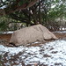 Ronald Wilder Photo 11
