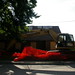 Frances Nelson Photo 11