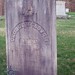 Steven Lind Photo 28