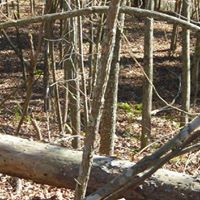 Jane Meade Photo 10