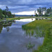 Donald Williamson Photo 37