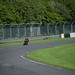 Matthew Combes Photo 10