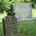 Erica Estes Photo 17