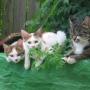 Debra Becker Photo 6