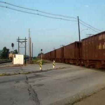 David Schaefer Photo 7