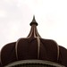 Anne Morey Photo 12