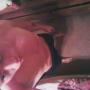 Timothy Fowler Photo 12