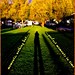 Shelly Lange Photo 20