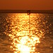 Michael Emerick Photo 6