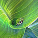Jeff Plant Photo 30