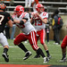 Andrew Bohl Photo 10
