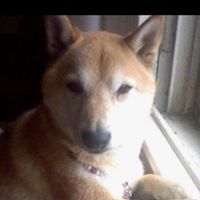 Jeanne Takahashi Photo 2