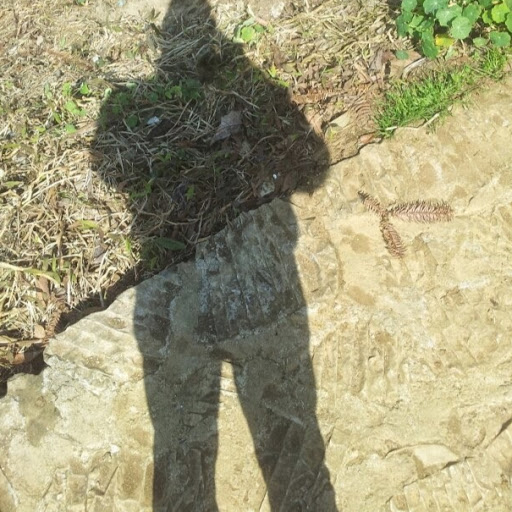 Mai Dinh Photo 9