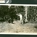 Thomas Caulfield Photo 21