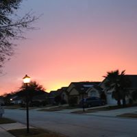 David Hirsh Photo 25