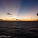 Thomas Ray Photo 42