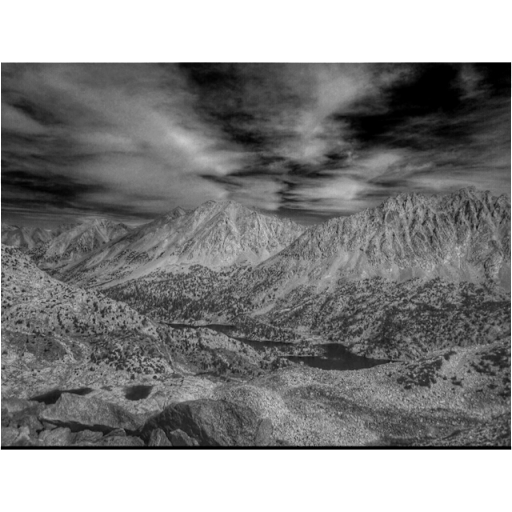 Nick Cunningham Photo 10
