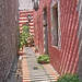 Luz Talavera Photo 15