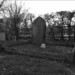 Thomas Moody Photo 30