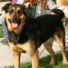 Mattie Tanner Photo 4