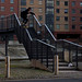 Steven Davies Photo 22