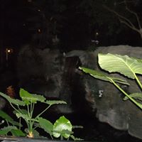 Mary Hightower Photo 18
