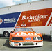 Jason Pennington Photo 33