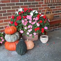 Judy Myers Photo 29