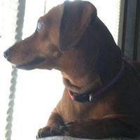 Cheryl Busby Photo 8