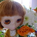 Anne Harrison Photo 8