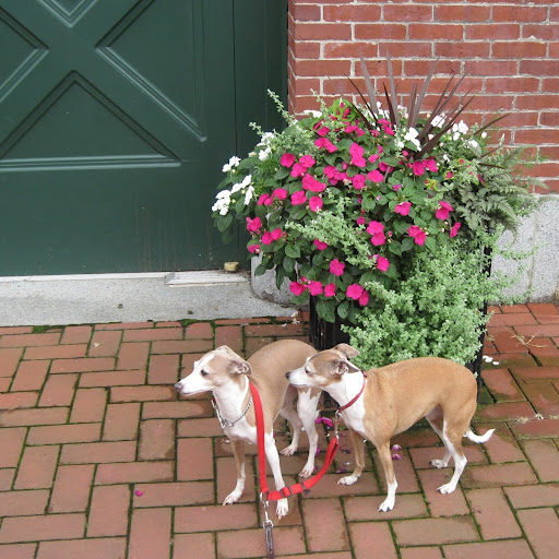 Loretta Sharp Photo 29