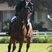 Anna Appel Photo 24