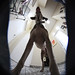 Mark Titus Photo 39