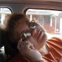 Judy Salinas Photo 18