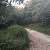 Paul Nester Photo 8