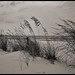 Larry Daugherty Photo 38