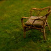 Martha Elliott Photo 38