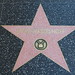 David Walk Photo 16