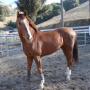 Robin Kelly Photo 12