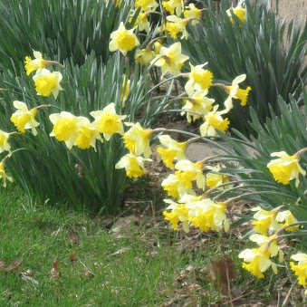 Janice Barnard Photo 28