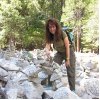Linda Mattson Photo 1