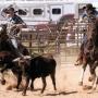 Michael Culberson Photo 7